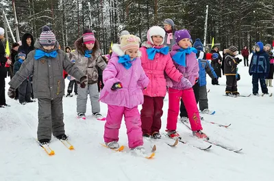 Зимние виды спорта | ŽivyKraj.cz