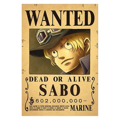 One Piece Collectible Figure : The Sabo – Hello Discount Store