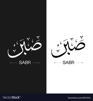 SABR - Digital Growth Partner