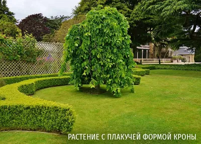 Выпускной альбом для детского сада заказать в Москве и СПб | PHOTO-KIT