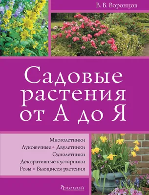 Низкорослые многолетние цветы: 8 фото и названия | ivd.ru