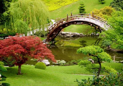Японские сады - Блог \"Частная архитектура\"