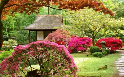 Сады Японии (42 фото) - 42 фото