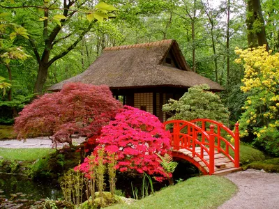 20 японских садов со всего света » BigPicture.ru