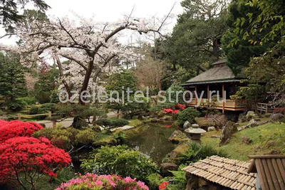 Парки и сады Японии