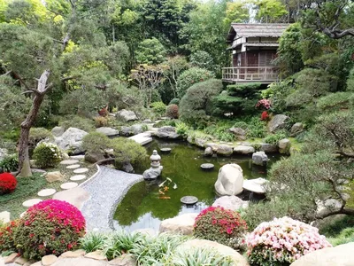 Японские сады | История дизайна и современность | Дзен