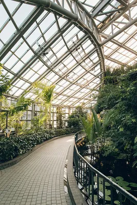 Кенрокуэн в Канадзаве входит в тройку лучших садов Японии