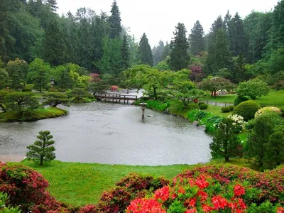 Японский парк цветов - 70 фото