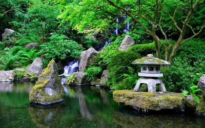 Наши любимые японские сады в Париже и его окрестностях - Sortiraparis.com