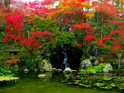 Японские сады в фотографиях