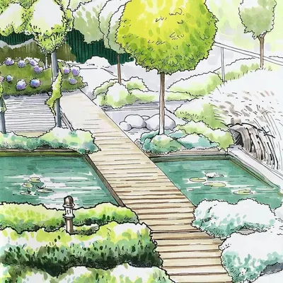 Сады в японском стиле | Стили в ландшафте