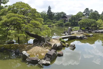 Японские сады - красивые фото