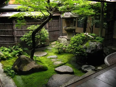 Как устроены японские сады и в чем их философия. Репортаж с лекции в парке  «Краснодар» | Юга.ру