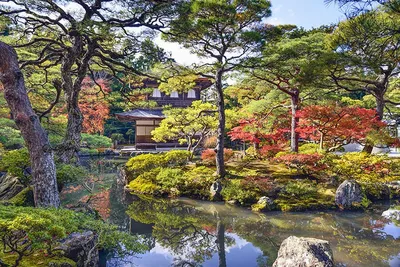 Самые красивые места планеты - Водный ботанический сад в Кусацу, Япония. |  Facebook