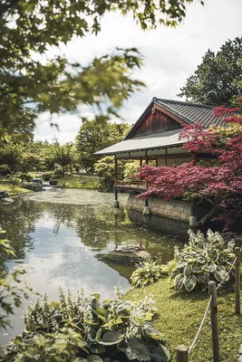 Чайный сад в Японии. На маленьком …» — создано в Шедевруме