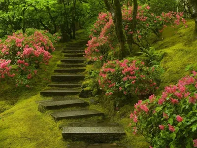Как создать сад в японском стиле: планировка, архитектурные элементы и декор