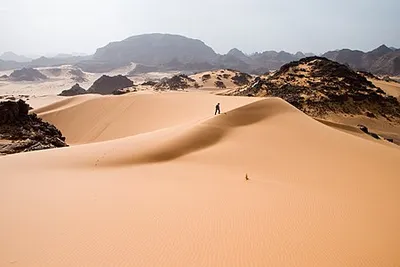 Сахара — Википедия
