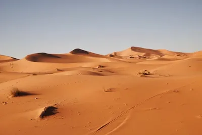Где в Марокко посмотреть пустыню Сахара - путеводитель | Геоклип