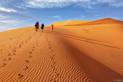 Как посетить Сахару: Марокко и Тунис. Западная Сахара