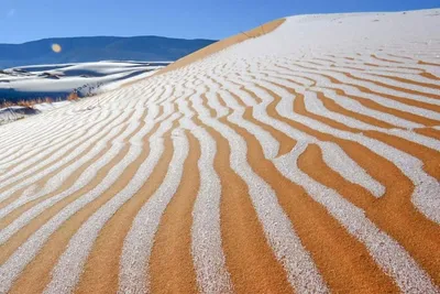 Сахара (Sahara)