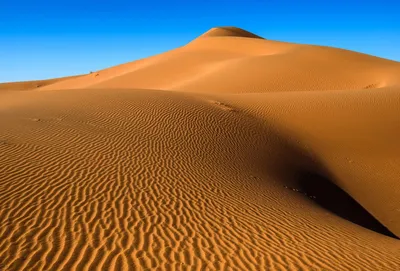 Сахара — Фото №2063