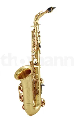 Альт-саксофон Yamaha YAS-62 - MuzDrive - интернет магазин музыкальных  инструментов