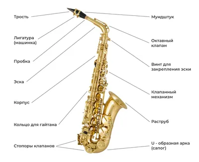 Mercury AS-203 Саксофон альт Eb в кейсе купить в интернет-магазине 3tone.me