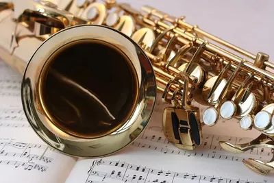 Бас-саксофон Henri Selmer Paris SA 80 II GG — купить в Киеве, Одессе |  Цена, описание, отзывы, гарантия | Komora