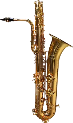 Саксофон с тремя локонами | AliExpress