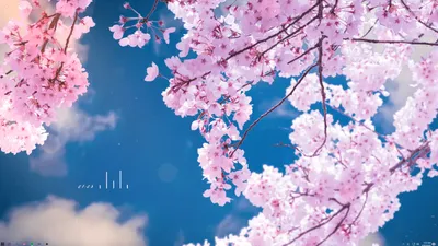 Живые обои для рабочего стола.(Blooming Sakura 3D Screensaver)Live  Wallpapers for your desktop. - YouTube