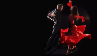 Чем отличается сальса от бачаты? (видео) | Dance Studio 25.5