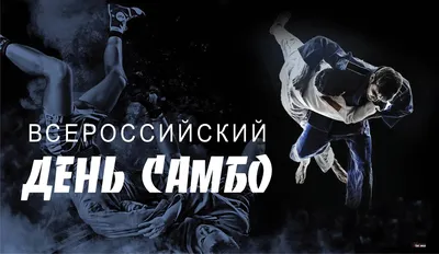 Самбо – это уникальный вид спорта : Новости Димитровграда