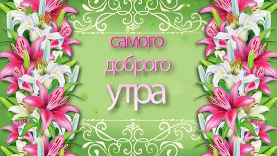 Самого доброго утра! Классного, яркого дня! Волшебную ... | Стефания |  Фотострана | Пост №1972270021