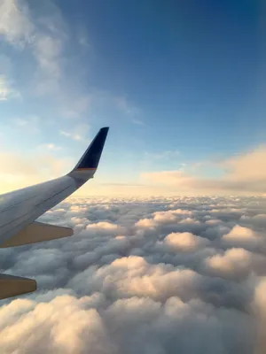 Картина \"Пассажирский самолет в небе во время заката\" | Интернет-магазин  картин \"АртФактор\"