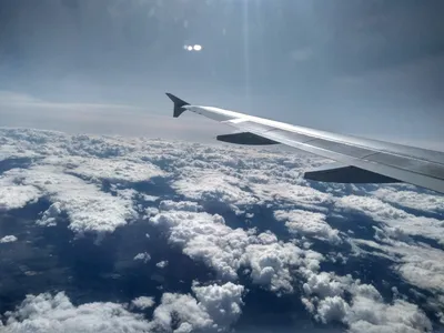 В небе над Украиной впервые с начала СВО заметили гражданский самолет -  14.08.2023 Украина.ру