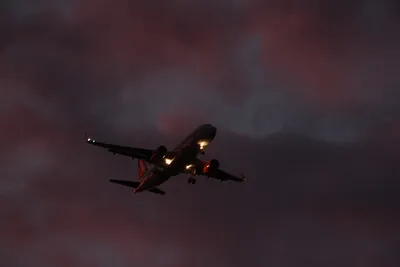 одноместный пассажирский самолет летящий над облаками в небе, фон,  справочный материал, аэрофотосъемка фон картинки и Фото для бесплатной  загрузки