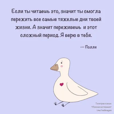 https://meduza.io/feature/2024/02/17/instagram-alekseya-navalnogo-obrazets-togo-kak-dazhe-samye-tyazhelye-ispytaniya-prohodit-s-ulybkoy