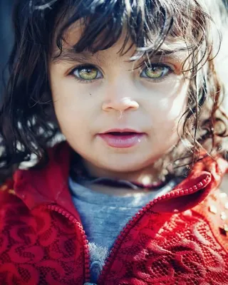 Фото: Самые красивые глаза в мире: пленительный взгляд детей в потрясающих  работах турецкого фотографа , фотографии, картинки, из… | Красивые глаза,  Фотограф, Глаза