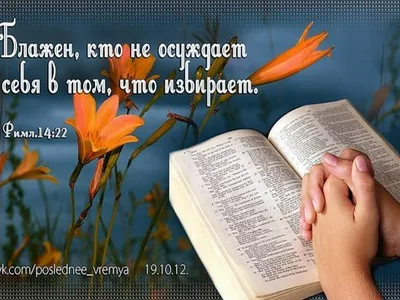 12 Библейские стихи о красоте - DailyVerses.net