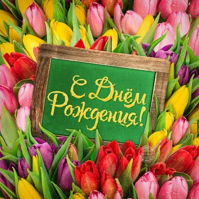 Самые красивые на день рождения