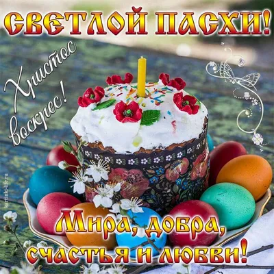 Как красиво и быстро покрасить яйца на Пасху - 13 апреля 2023 - НГС.ру