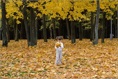лишь самые красивые. | Осень - пора любви - Авторский Фотосайт