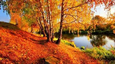 Художница-осень и ее удивительные пейзажи