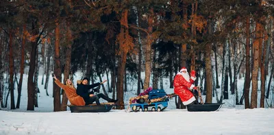 Зима в фотообъективе: самые красивые зимние фото - Delfi RU