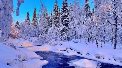 Самые красивые зимние картинки (40 фото) • Прикольные картинки и позитив |  Зимние картинки, Обои, Зима