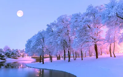 Самые красивые зимние дворы в Хабаровске теперь можно увидеть на DVHab.ru —  Новости Хабаровска
