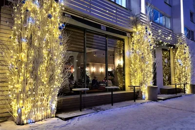 Незабываемая зима в Паланге: самые красивые места, и чего нельзя пропустить  - Delfi RU