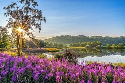 Самые красивые картинки про любовь (100 фото)