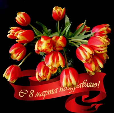 https://aif.ru/society/tyulpany_i_mimoza_v_zhenskiy_den_luchshie_otkrytki_k_8_marta