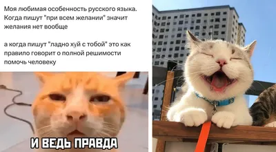 Обои на телефон для подростков девушек - фото и картинки abrakadabra.fun